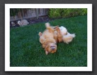 Isn't this a scene from